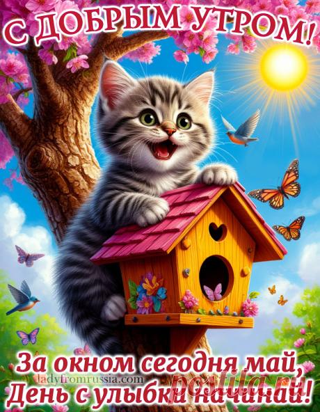 Открытки с добрым майским утром, картинки