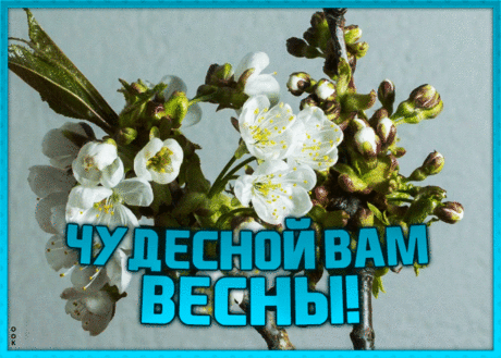 Картинка чудесной весны