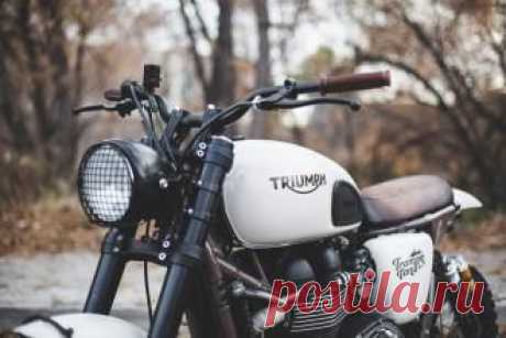 Кастом Triumph Scrambler Tramontana: идеален для езды по бездорожью - свежие новости Украины и мира