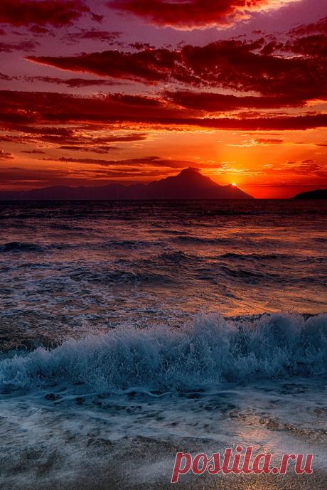 B U T T E R F L Y — sundxwn: in motion by Christos