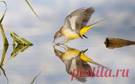 2х2 , или кто есть    кто  ?  
    или              кто  есть  где  ?