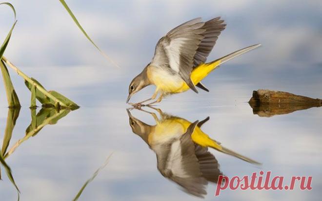 2х2  или кто есть где?