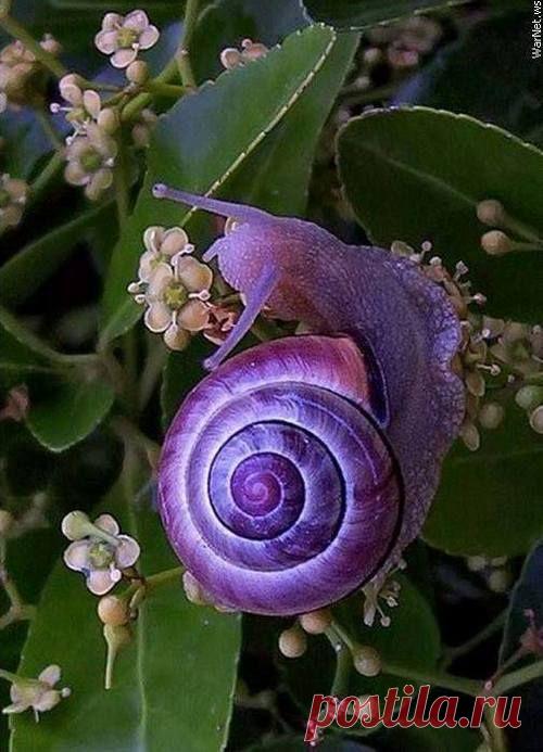 Found on pollyannapumpkin.tumblr.com