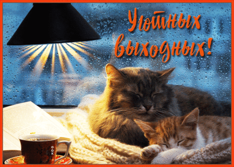 Милая открытка уютных выходных