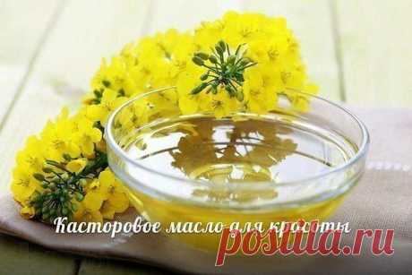 Интересные новости