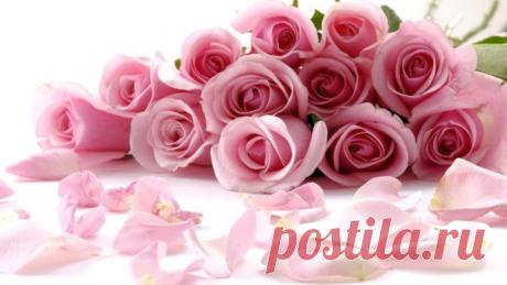 (90) Одноклассники