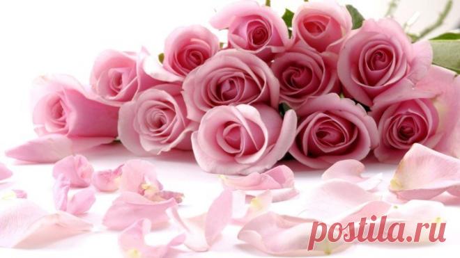 (90) Одноклассники