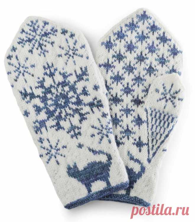 Helt unik strikkebok om votter! - Fakta & livsstil