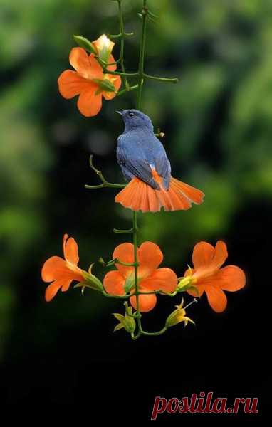 Мой Мир@Mail.Ru