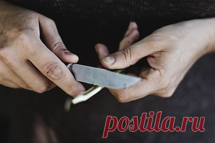 Россиянин из-за развода с женой вонзил нож в сердце своим маленьким детям. В Удмуртии 29-летний отец расправился с семилетним сыном и трехлетней дочерью из-за развода с женой. Утром 18 ноября фигурант из-за неприязни к супруге из-за бракоразводного процесса вонзил нож в сердце маленьким детям. Они не выжили. Затем мужчина сбежал, но его удалось задержать в лесу.