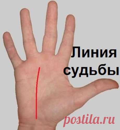 О чем говорят линии на ваших руках — Всегда в форме!