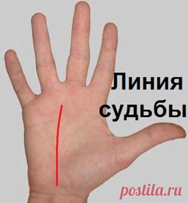О чем говорят линии на ваших руках — Всегда в форме!