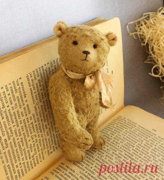 Little classic Bear By Elena Kirillova - Bear Pile