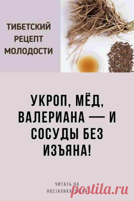 Укроп, мёд, валериана — и сосуды без изъяна!