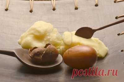 Масло ши для красоты кожи и волос