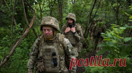 Боец ВС России Сильнягин: боевики ВСУ под наркотиками игнорировали огонь. Военнослужащий группировки «Центр» Иван Сильнягин рассказал, что на Днепропетровском направлении двое украинских военных продолжали движение под плотным огнём, практически не реагируя на происходящее. Читать далее