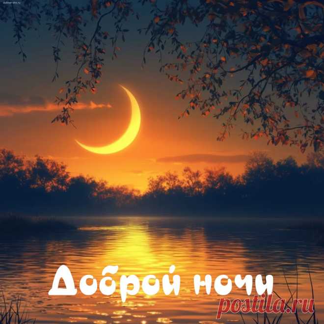 Доброй ночи, сладких снов!
Сон прийти уже готов!
Мы положим под подушку
Снам чудесную ловушку!