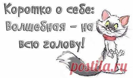 (6) Однокласники