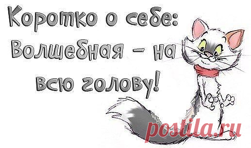 (6) Однокласники