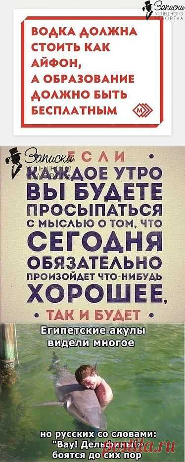 (+1) - Картинки ) | ПРИКОЛЫ