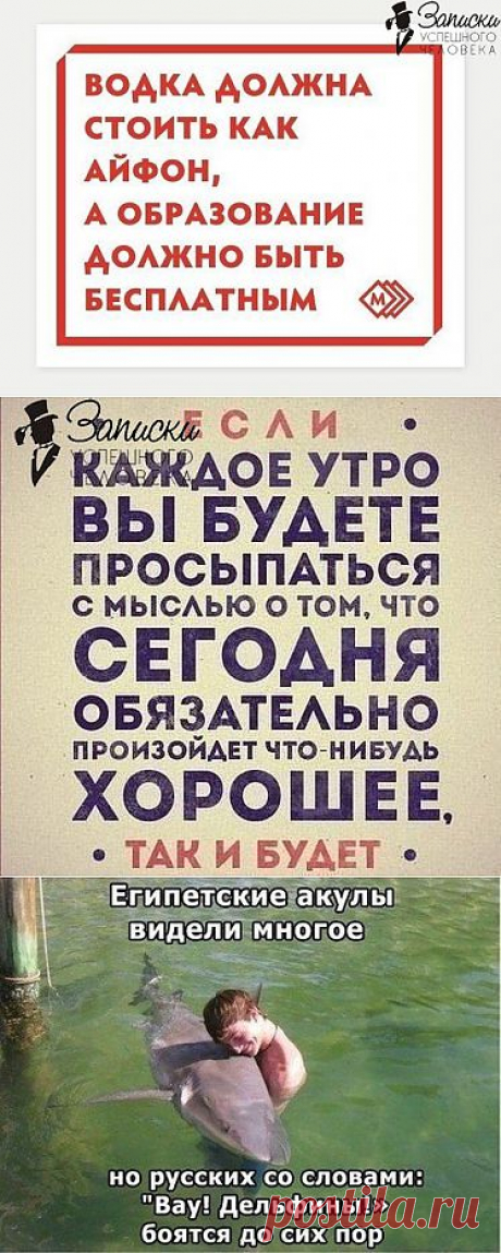 (+1) - Картинки ) | ПРИКОЛЫ