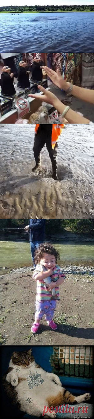 Одноклассники