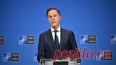 Константинов назвал упрёк Рютте в адрес России исторически безграмотным. Глава парламента Крыма Владимир Константинов назвал исторически безграмотным упрёк в адрес России, который позволил сделать генсек НАТО Марк Рютте. Читать далее