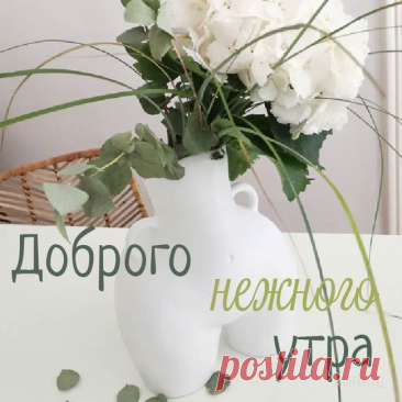 Нежные открытки «С добрым утром»
Варианты оформления

Дизайн открыток может включать: