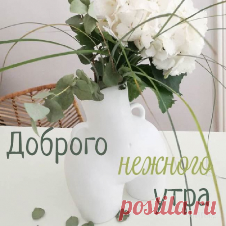 Нежные открытки «С добрым утром»
Варианты оформления

Дизайн открыток может включать: