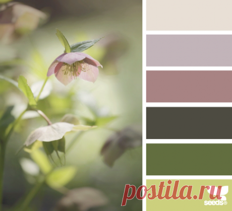 Цветы, деревья — источник вдохновения! | BepHuK собирает друзей