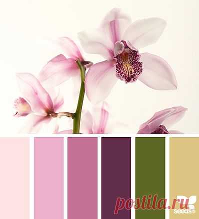for all who ❤ color | orchid tones