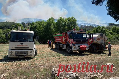 Длительность пожара на популярном у россиян курорте Турции превысила 36 часов. Лесной пожар в районе турецкого города Кемер продолжается уже более 36 часов. По информации телеканала A Haber, пламя быстро распространяется из-за сильных порывов ветра — по последним данным, сгорело 180 гектаров леса. Борьбу с огнем в ночь на 26 июля вели вертолеты и сотрудники спецслужб на земле.