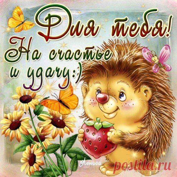 Надежда Широких