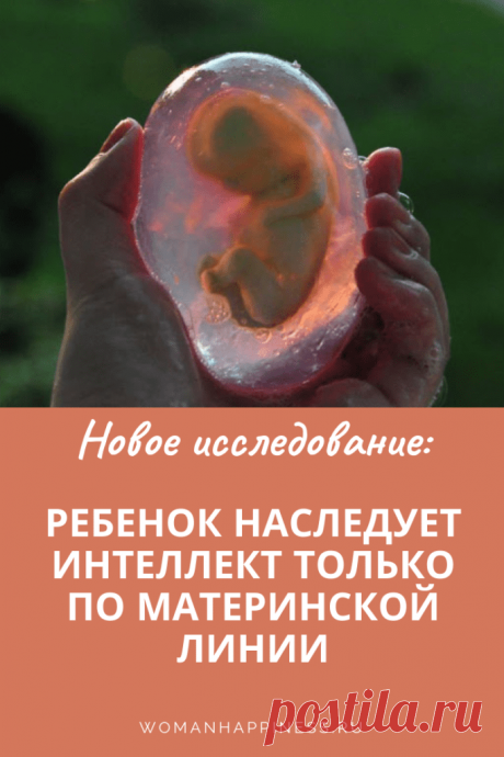 Ребенок наследует интеллект только по материнской линии
Исследователи доказали, что умственные способности ребенок наследует от своей матери, гены отца в этом не участвуют. ➡️ Кликайте на фото, чтобы прочитать полностью