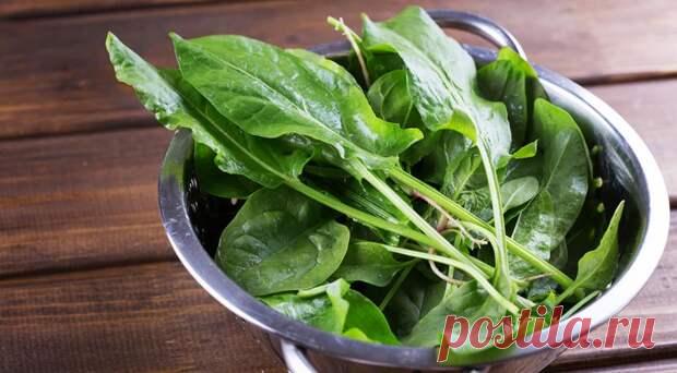 Не только щи – 10 интересных блюд со щавелем - Будет вкусно - 23 июля - 43686168874 - Медиаплатформа МирТесен Щавель издавна используется в кулинарии разных народов мира ради яркого кислого вкуса его продолговатых листочков. Еще в Древней Руси щавель был известен как 