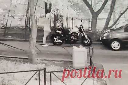 Кража Пикачу в российском городе попала на видео
