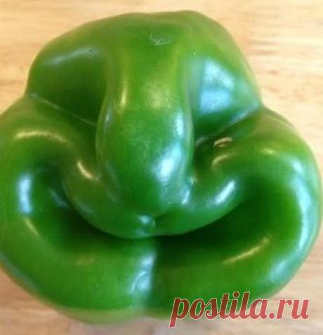 Найдено на сайте weirdauctionlistings.info.