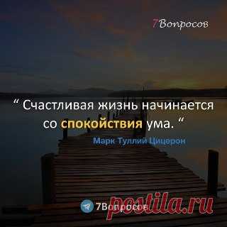 7Вопросов “ Счастливая жизнь начинается со спокойствия ума. “ © Марк Туллий Цицерон