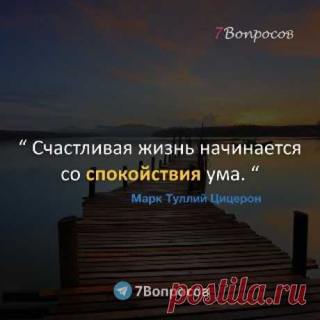7Вопросов “ Счастливая жизнь начинается со спокойствия ума. “ © Марк Туллий Цицерон
