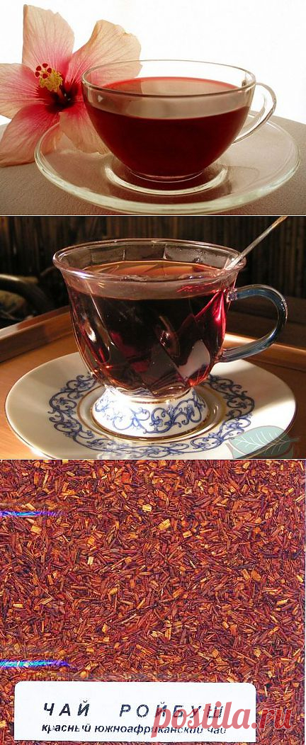 Ройбуш – эликсир молодости и красоты из Африки..