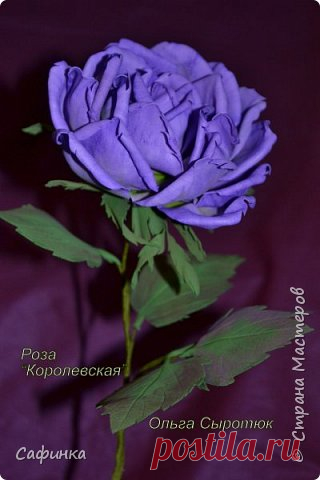Мастер-класс по созданию розы " Королевская" из Фоама... | Страна Мастеров
