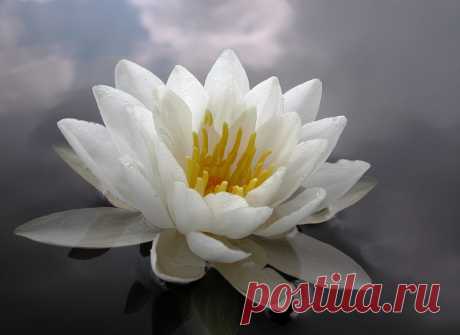 Редактировать описание