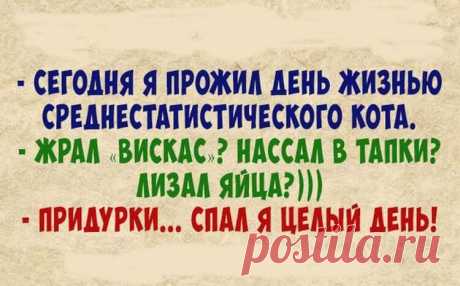 Великолепная подборка анекдотов