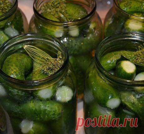 Секретный рецепт обалденных огурцов «Пальчики оближешь»
