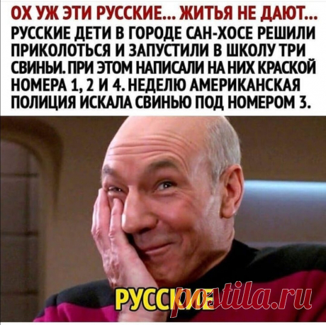 Подборка смешных картинок | Альтер'Эго | Яндекс Дзен