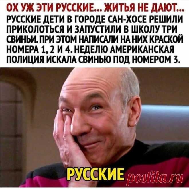 Подборка смешных картинок | Альтер'Эго | Яндекс Дзен