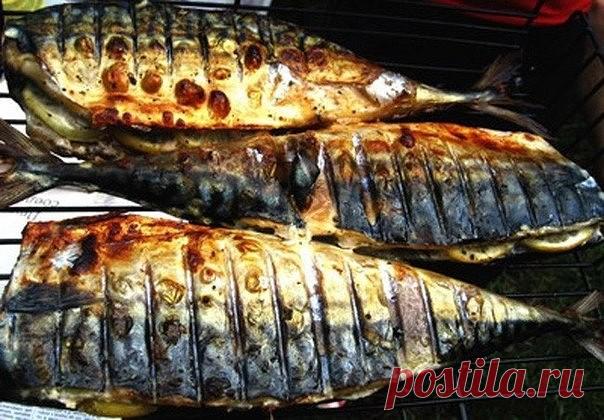 Скумбрия-гриль с лимоном

Ингредиенты на 4 порции:

· 4 мороженых скумбрии
· 1 лимон
· 1 луковица
· сушеный или свежий базилик
· перец
· соль

Приготовление:

Скумбрию размораживаем, отрезаем головы, удаляем внутренности. Промываем. Вдоль хребта с одной стороны делаем глубокий надрез до реберных костей, но так, чтобы рыбу не располовинить :)
Скумбрию обмазываем солью, перцем и базиликом. В разрез на хребте и в брюшко рыбы кладем тонкие дольки лимона и полукольца лука.
Оста...