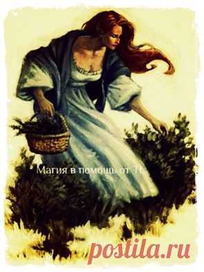 Магия в Помощь от TL