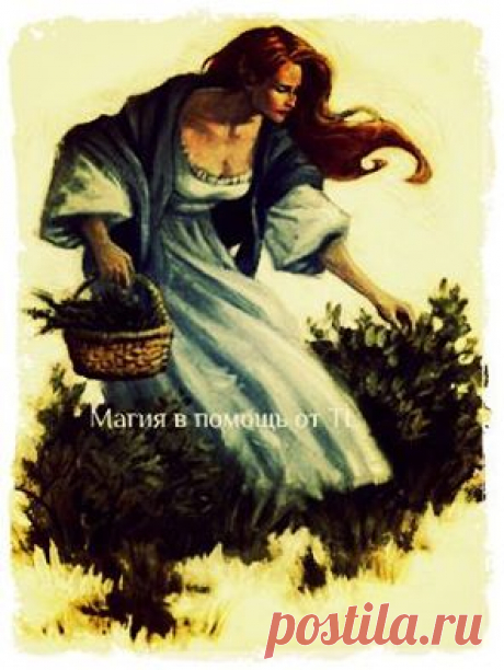 Магия в Помощь от TL