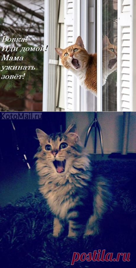ГЛАШАТАЙ | KotoMail.ru